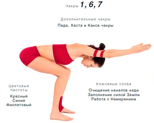Иллюстрация к книге — Энергетика йоги. Практический курс [i_070.jpg]