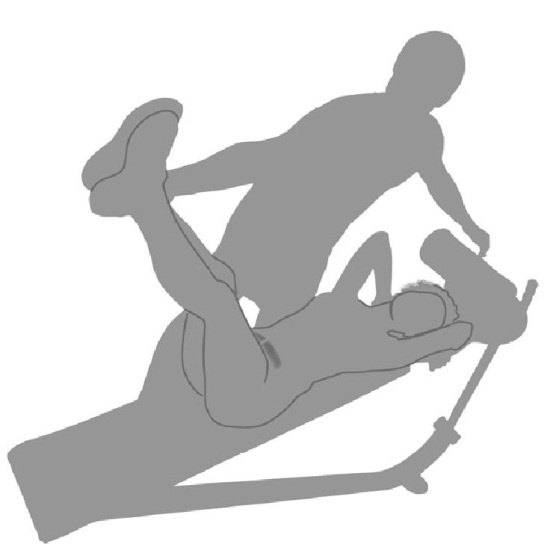 Иллюстрация к книге — Любовь и фитнес в вашей жизни [Autogen_eBook_id77.jpg]