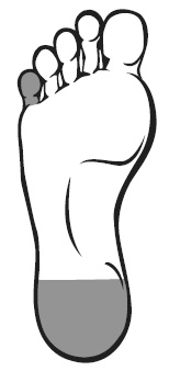 Иллюстрация к книге — Точки болезни и здоровья на ваших ступнях [Autogen_eBook_id11.jpg]