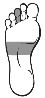 Иллюстрация к книге — Точки болезни и здоровья на ваших ступнях [Autogen_eBook_id15.jpg]