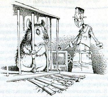 Иллюстрация к книге — Фредди. Жизнь, полная риска [i_027.jpg]