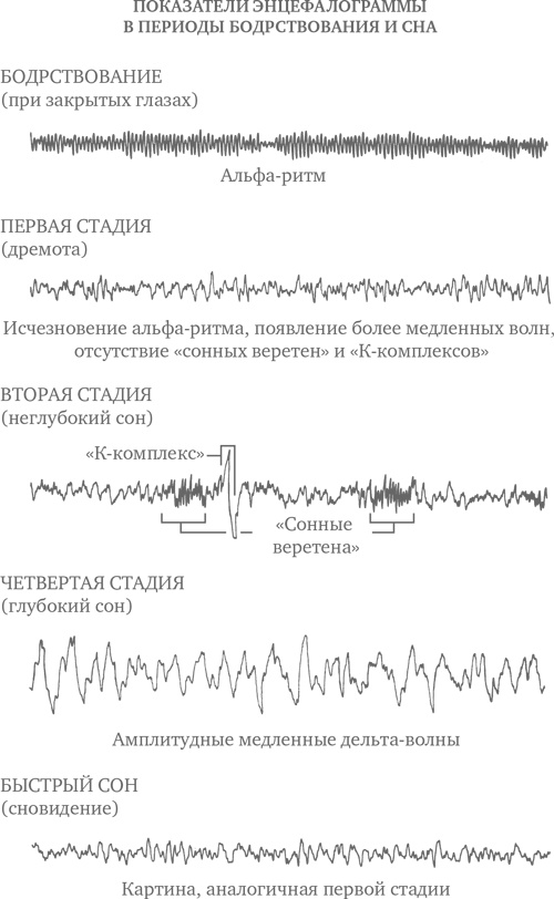 Иллюстрация к книге — Сон ребенка. Решение всех проблем [i_003.jpg]
