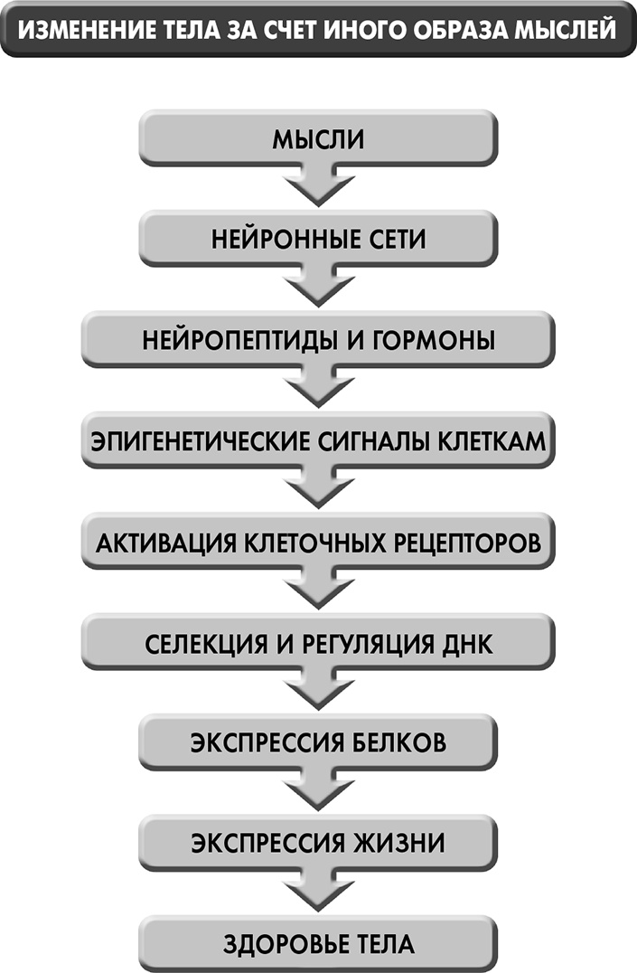 Сам себе плацебо: как использовать силу подсознания для здоровья и процветания