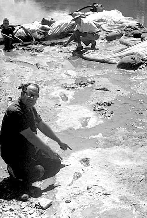 Иллюстрация к книге — 4-й рейх, или Грядущая раса Полой земли [i_006.jpg]