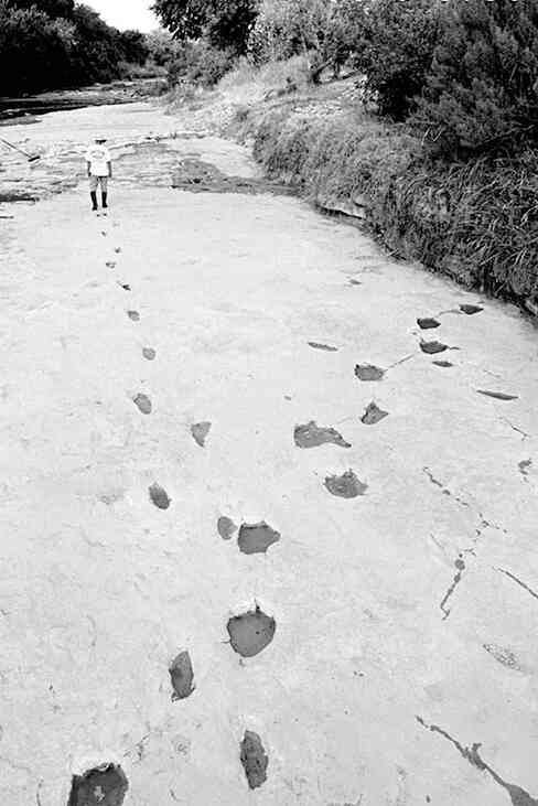 Иллюстрация к книге — 4-й рейх, или Грядущая раса Полой земли [i_007.jpg]