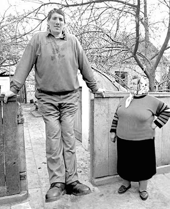 Иллюстрация к книге — 4-й рейх, или Грядущая раса Полой земли [i_015.jpg]