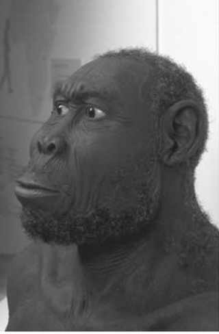 Иллюстрация к книге — Sapiens. Краткая история человечества [i_006.jpg]