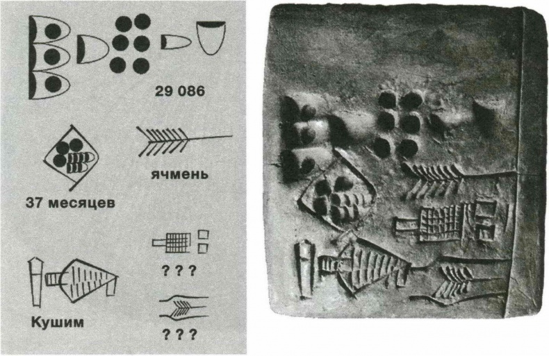 Иллюстрация к книге — Sapiens. Краткая история человечества [i_035.jpg]