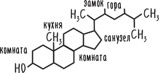 Иллюстрация к книге — Тук-тук, сердце! Как подружиться с самым неутомимым органом и что будет, если этого не сделать [i_012.jpg]