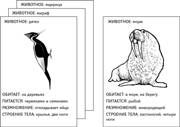 Иллюстрация к книге — Объясняя религию. Природа религиозного мышления [_1.jpg]