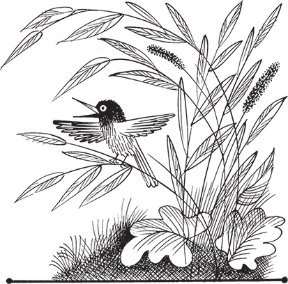 Иллюстрация к книге — Три поросёнка и другие сказки [i_032.jpg]