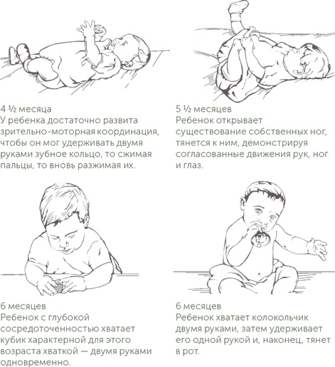Иллюстрация к книге — Игра в раннем детстве: От рождения до 6 лет [i_002.jpg]
