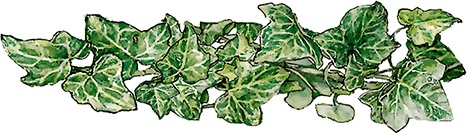 Иллюстрация к книге — Сказки и истории Ежевичной поляны (сборник) [i_110.jpg]