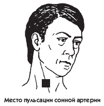 Заболевания сердца и сосудов. Профилактика и лечение