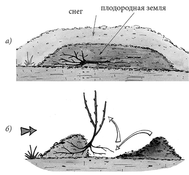 Самая полезная настольная книга садовода и огородника