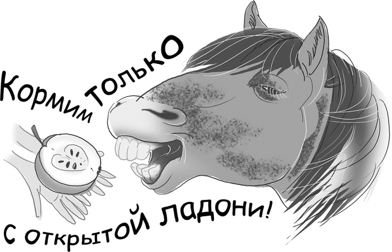 Таинственный Ктототам