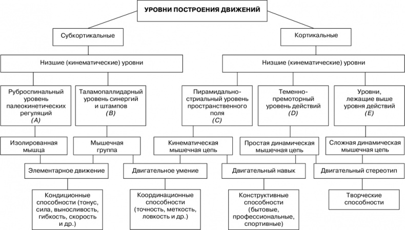 Иллюстрация к книге — Двигательная активность и здоровье. От лечебной гимнастики до паркура [i_003.jpg]
