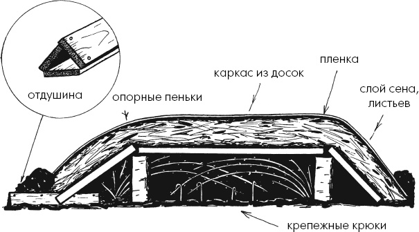 Иллюстрация к книге — Главные секреты вашего сада и огорода (переиздание) [_16.jpg]