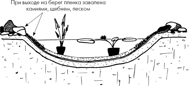 Иллюстрация к книге — Главные секреты вашего сада и огорода (переиздание) [_64.jpg]
