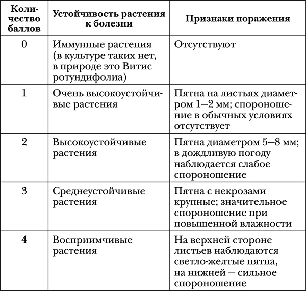 Иллюстрация к книге — Виноград на вашей даче. Растет не только на юге! [i_034.jpg]
