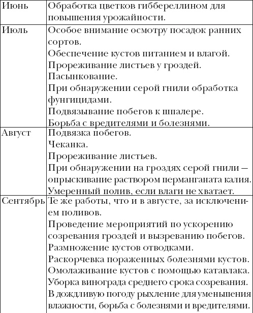 Иллюстрация к книге — Виноград. Секреты чудо-урожая [i_046.jpg]