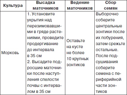 Иллюстрация к книге — Всё о семенах овощных культур [i_009.jpg]