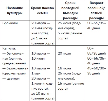 Иллюстрация к книге — Всё о семенах овощных культур [i_042.jpg]