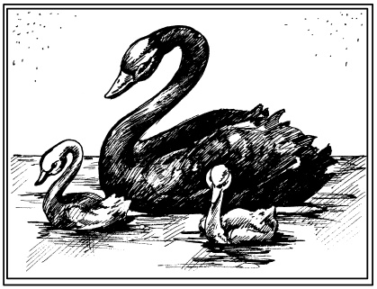 Иллюстрация к книге — Бисер. Энциклопедия вышивки [i_091.jpg]