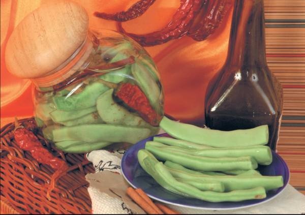 Иллюстрация к книге — Приготовление вкуснейших соусов, подлив, заправок, приправок, маринадов, кляров и панировок [i_010.jpg]