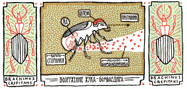 Иллюстрация к книге — Загадка жизни и грязные носки Йоса Гротьеса из Дрила [i_114.jpg]