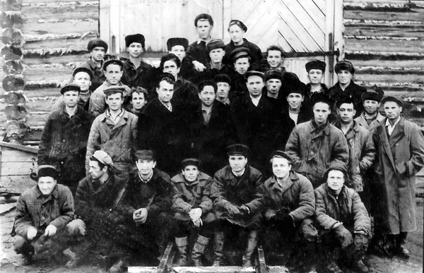 Солнце над лесом (сборник)