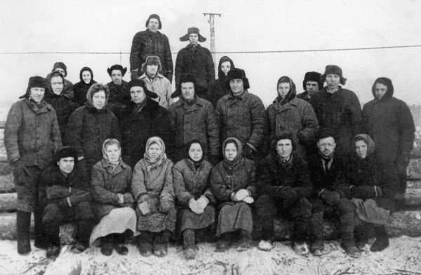 Солнце над лесом (сборник)