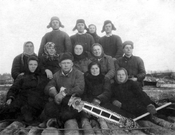 Солнце над лесом (сборник)