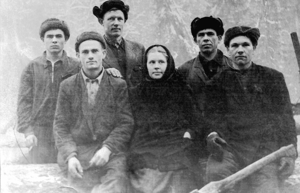 Солнце над лесом (сборник)