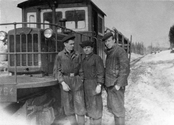Солнце над лесом (сборник)