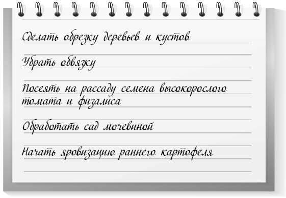 Иллюстрация к книге — Самая полная книга разумно ленивого дачника. Секреты легкого урожая [i_036.jpg]