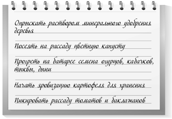 Иллюстрация к книге — Самая полная книга разумно ленивого дачника. Секреты легкого урожая [i_037.jpg]