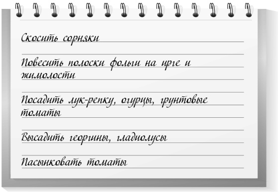 Иллюстрация к книге — Самая полная книга разумно ленивого дачника. Секреты легкого урожая [i_039.jpg]