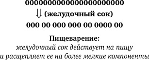 Иллюстрация к книге — Синдром белки в колесе: Как сохранить здоровье и сберечь нервы в мире бесконечных дел [i_008.jpg]