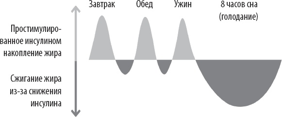 Иллюстрация к книге — Тоньше, Суше, Сильнее. Простая наука о построении женского тела [_21.jpg]