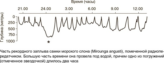 Иллюстрация к книге — На грани возможного. Наука выживания [i_031.jpg]