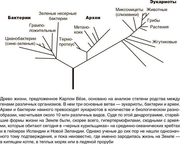 Иллюстрация к книге — На грани возможного. Наука выживания [i_084.jpg]