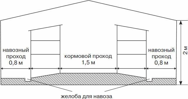 Иллюстрация к книге — Кролиководство для начинающих [_31.jpg]