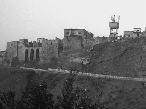 Иллюстрация к книге — Сирийские перекрестки цивилизации [_33.jpg]