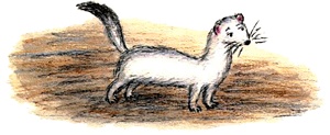 Иллюстрация к книге — Кривуля [img23.jpg]