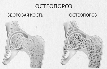 Иллюстрация к книге — Девочка. Девушка. Женщина [i_504.jpg]