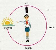 Иллюстрация к книге — Последний окножираф [img3370.jpg]