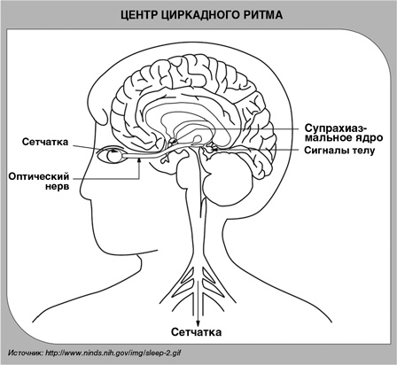 Иллюстрация к книге — Детский сон. Простые решения для родителей [i_004.jpg]