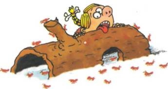 Иллюстрация к книге — Неандертальский мальчик в школе и дома [any2fbimgloader48.jpg]