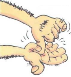 Иллюстрация к книге — Неандертальский мальчик в школе и дома [any2fbimgloader96.jpg]